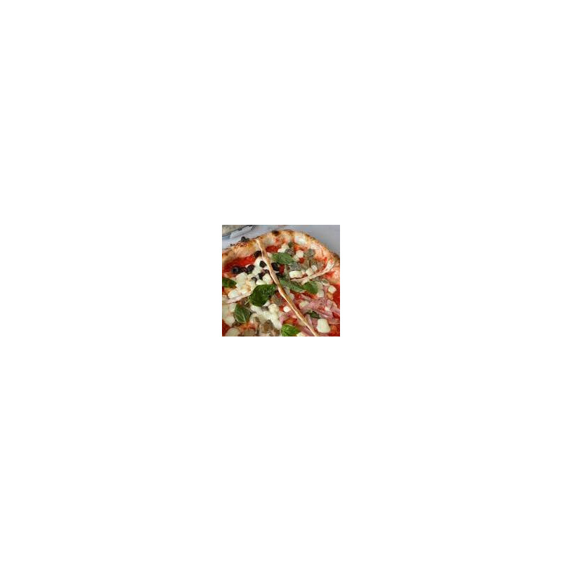 PIZZA 4 STAGIONI PIZZA 4 STAGIONI
